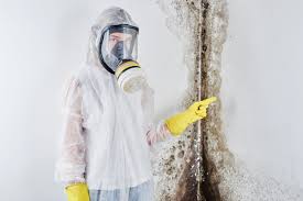 Why You Should Choose Our Mold Remediation Services in Montrose, MN